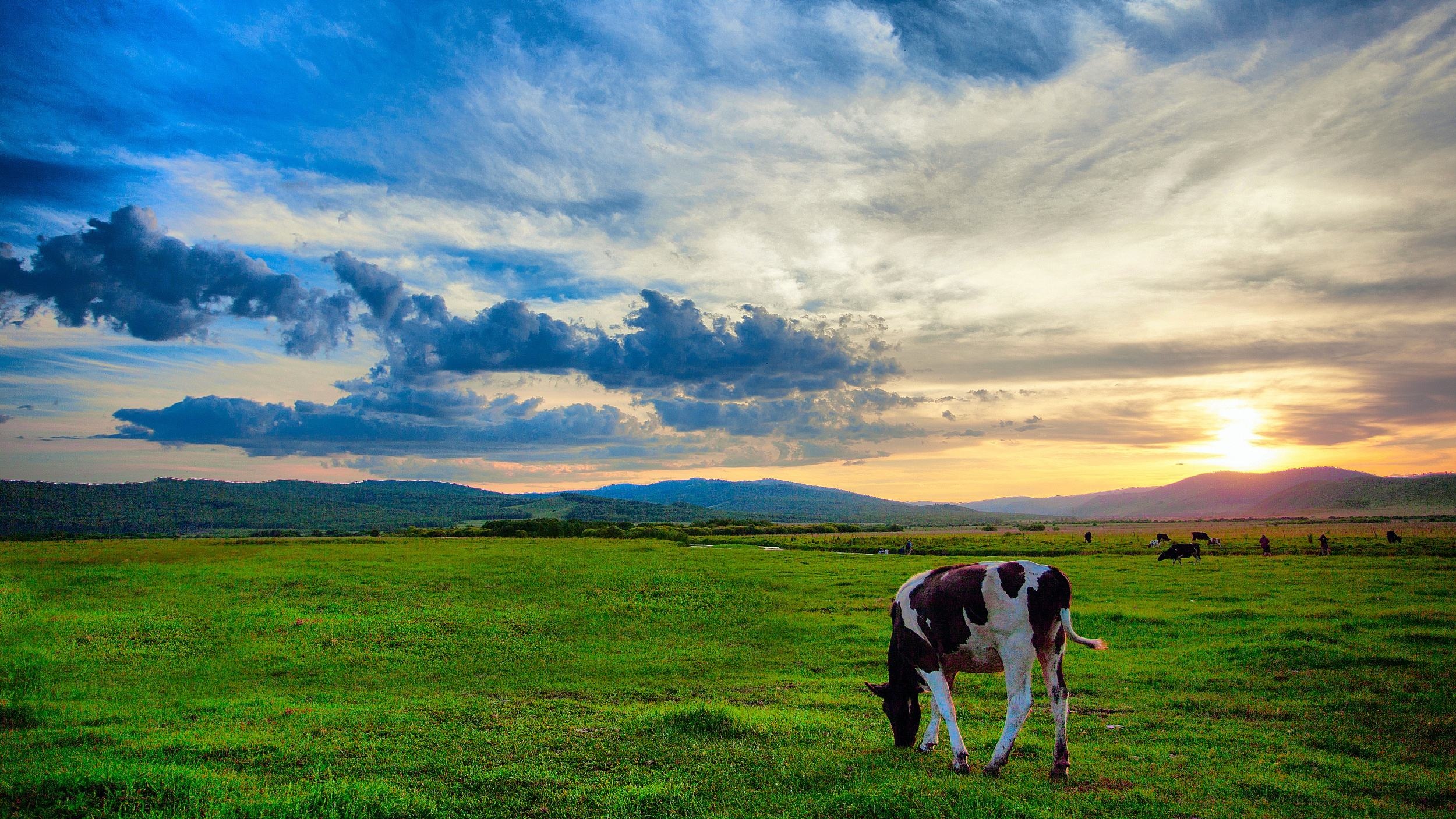 呼伦贝尔科技新品璀璨亮相,引领生活新纪元