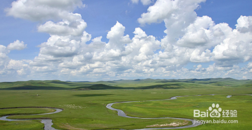 呼伦贝尔科技新品璀璨亮相,引领生活新纪元
