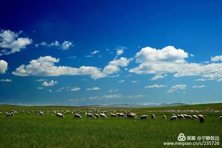 呼伦贝尔科技新品璀璨亮相,引领生活新纪元