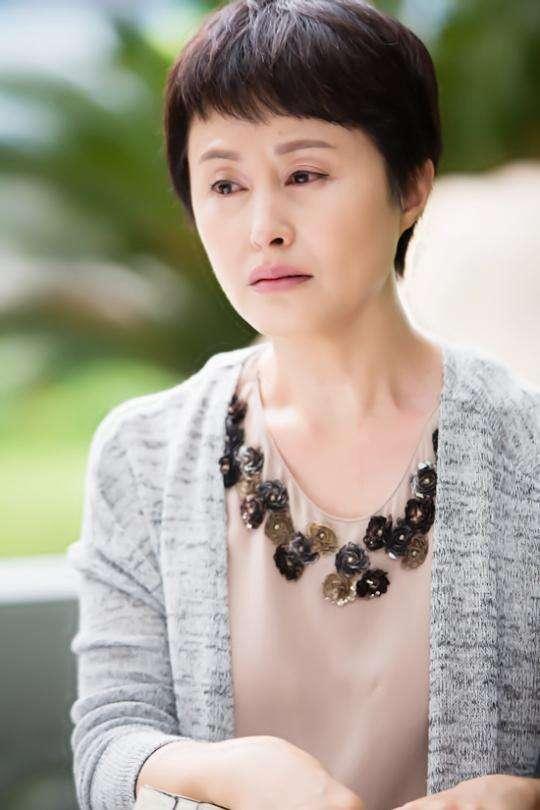 婆婆和妈妈,家庭情感与人际关系的温馨故事世界探索之旅