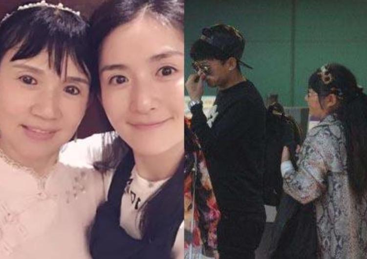 婆婆和妈妈,家庭情感与人际关系的温馨故事世界探索之旅